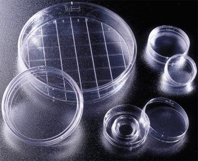 细菌学巴氏培养皿，标准平皿 DISH PETRI 100X15MM STYLE, 500/CAS 